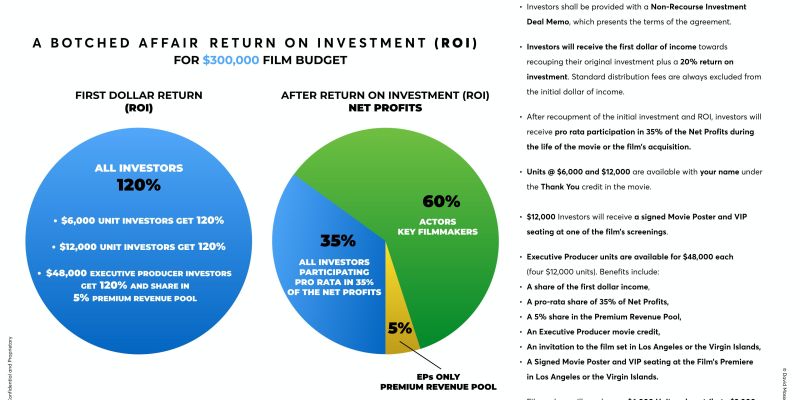 investment-proposal-a-botched-affair-movie-06970FE714-0C4E-5FBE-FE6D-FB06594F2E53.jpg
